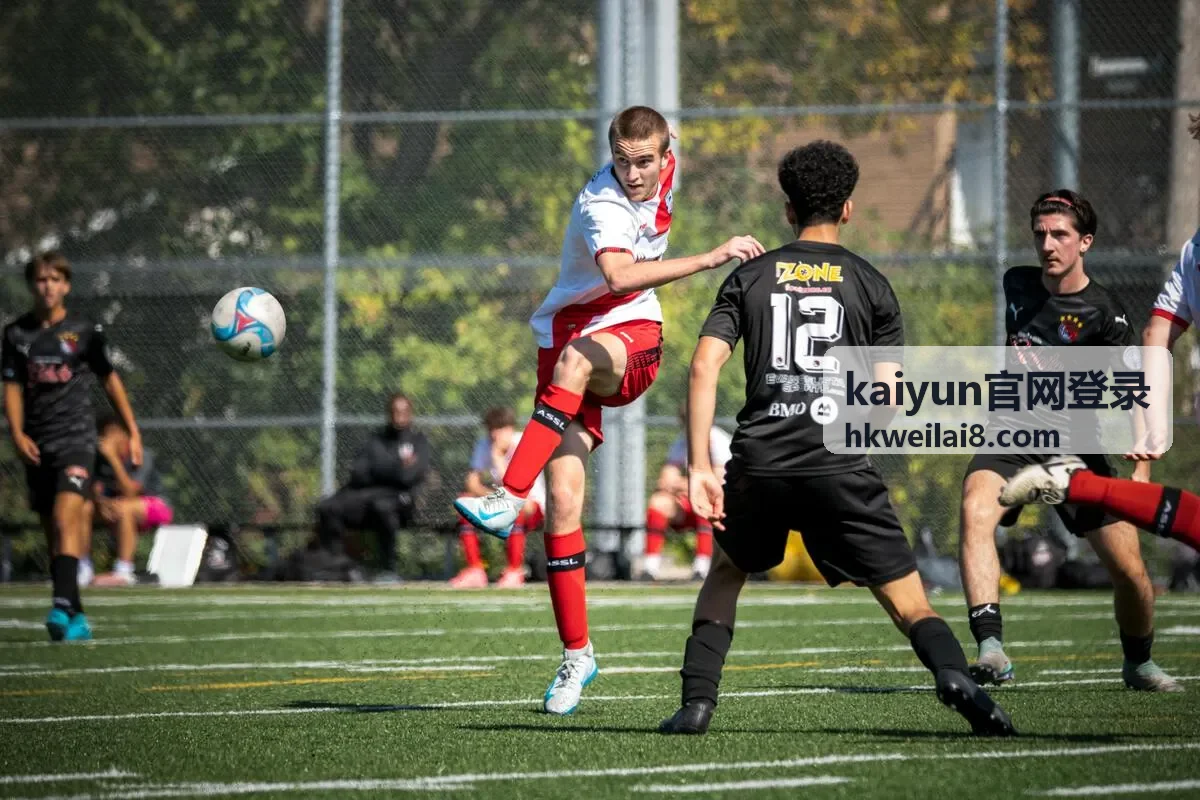 kaiyun官网登录在桌面与移动设备上的界面适配示意